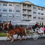 horse and carriage